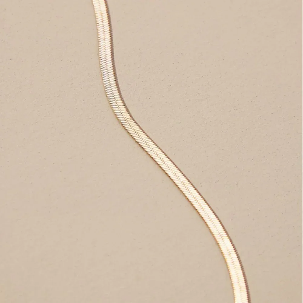 NWT! Anthopologie Flat Gold Herringbone Necklace - Picture 3 of 9